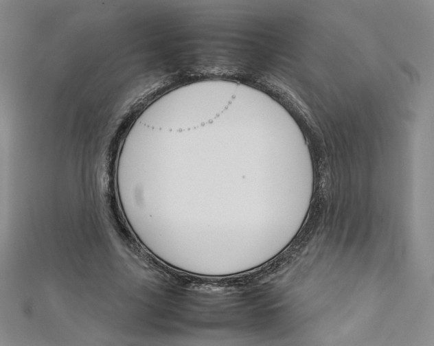 X0000113030635200908271056