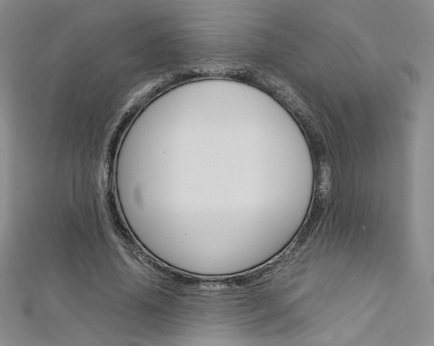 X0000113030636200908271056