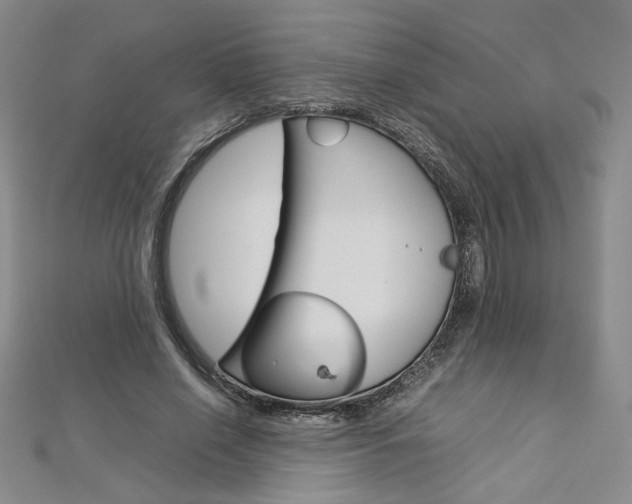 X0000113030638200908271056