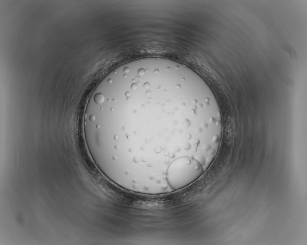 X0000113030639200908271056
