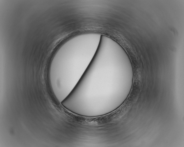X0000113030640200908271056