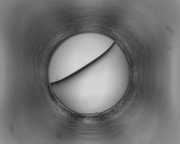 X0000113030641200908271056