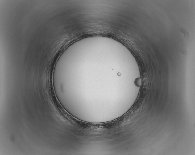 X0000113030642200908271056