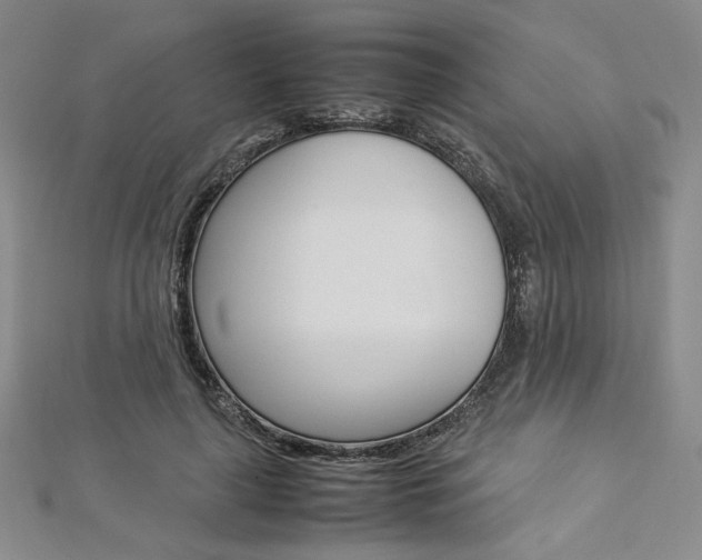 X0000113030643200908271056
