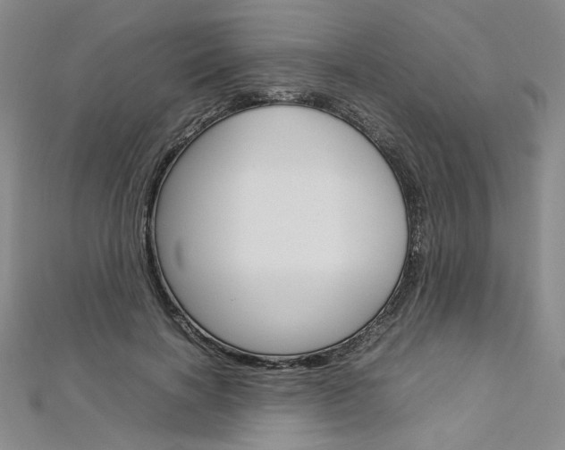 X0000113030646200908271056