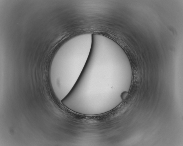 X0000113030648200908271056