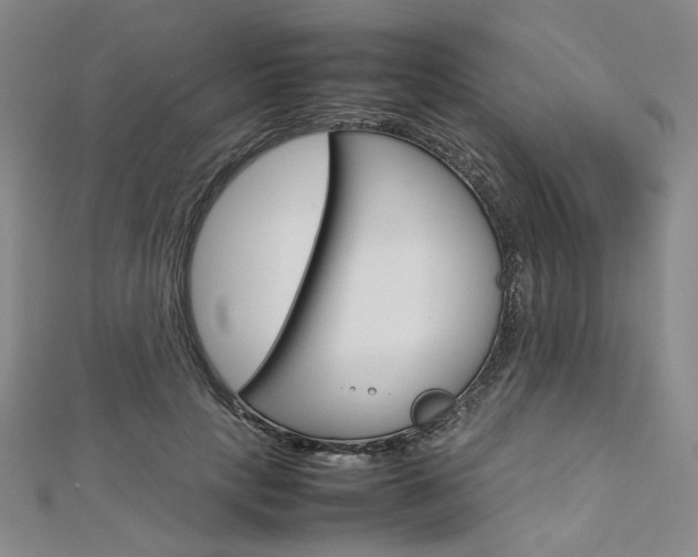 X0000113030649200908271056