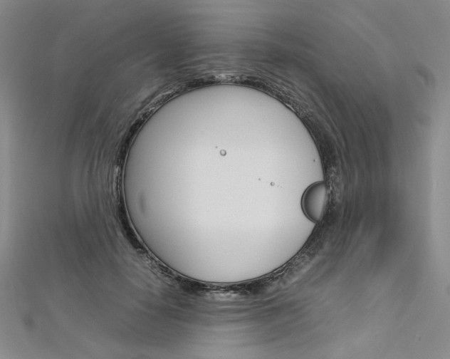 X0000113030650200908271056
