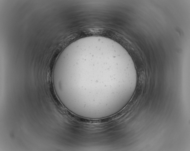 X0000113030651200908271056
