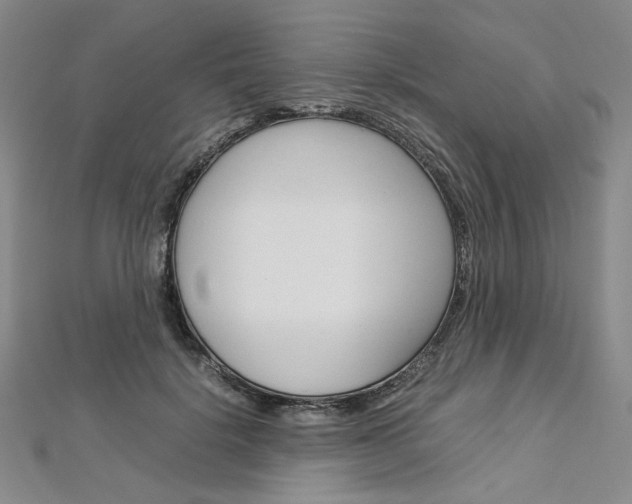 X0000113030652200908271056