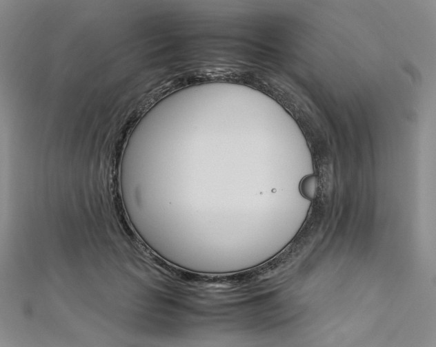 X0000113030653200908271056