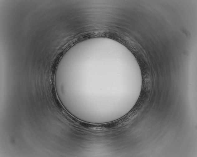 X0000113030654200908271056
