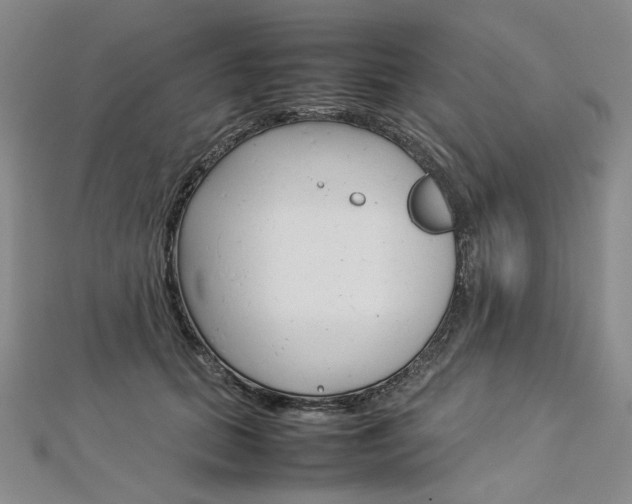 X0000113030655200908271056