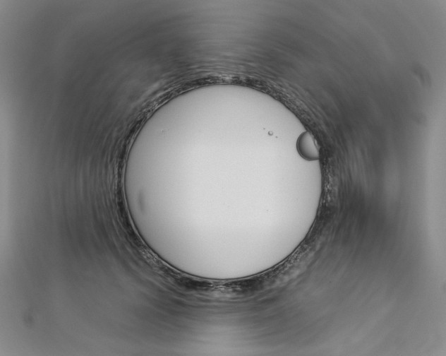 X0000113030656200908271056