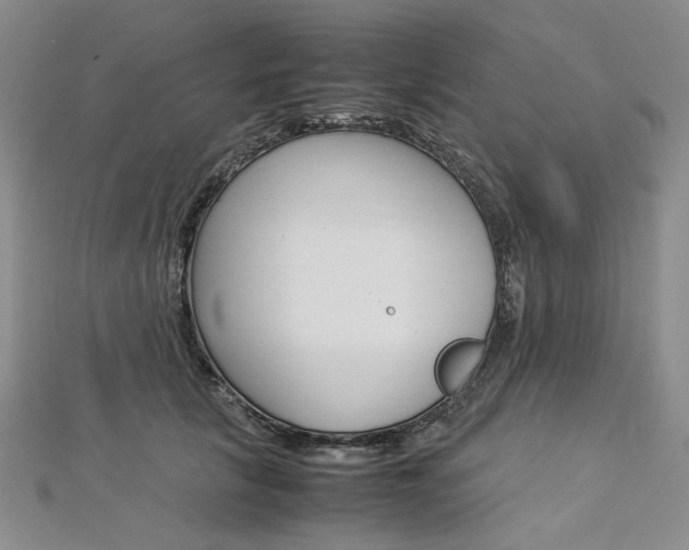 X0000113030657200908271056