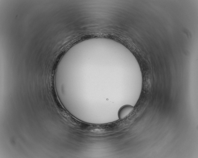X0000113030658200908271056