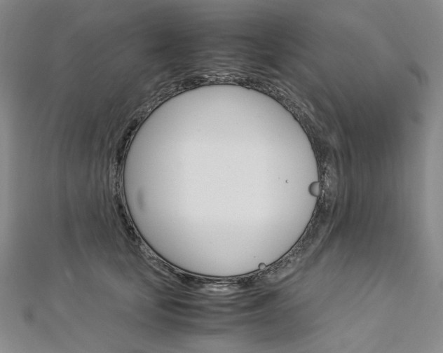 X0000113030659200908271056