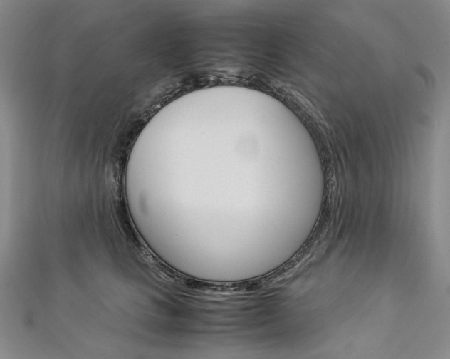 X0000113030661200908271056
