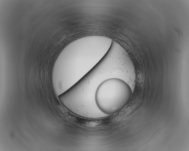 X0000113030662200908271056