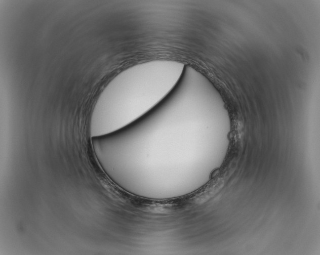 X0000113030664200908271056