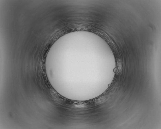 X0000113030667200908271056