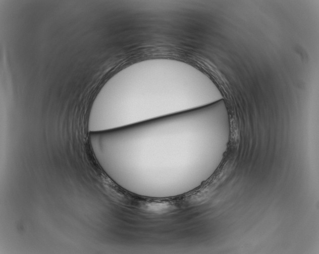 X0000113030669200908271056