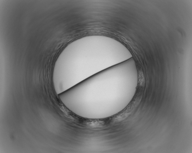 X0000113030670200908271056