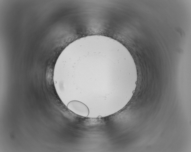 X0000113030672200908271056