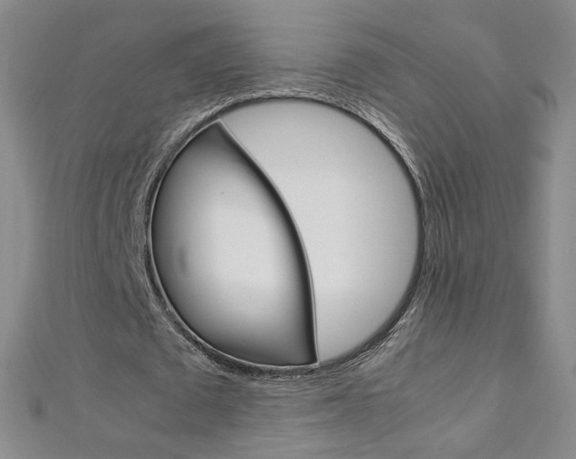 X0000113030673200908271055