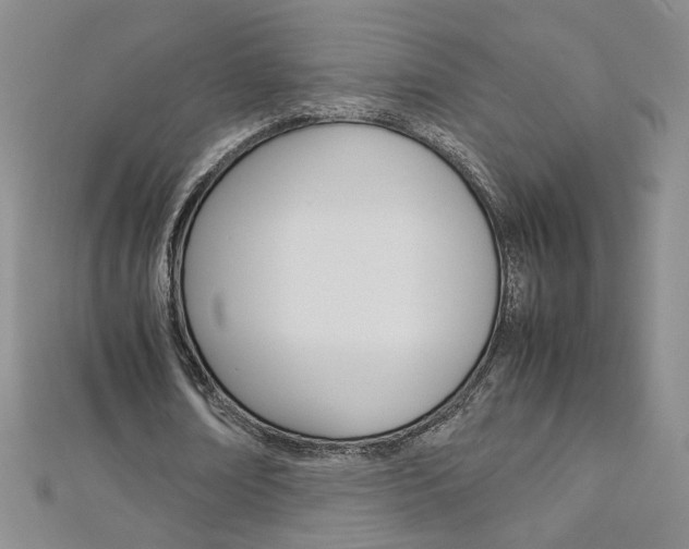 X0000113030674200908271055