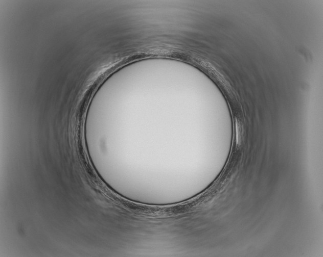X0000113030675200908271055