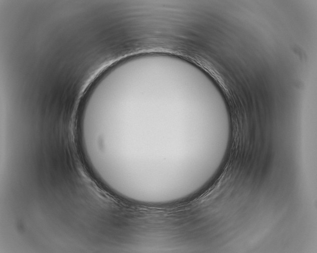 X0000113030676200908271055