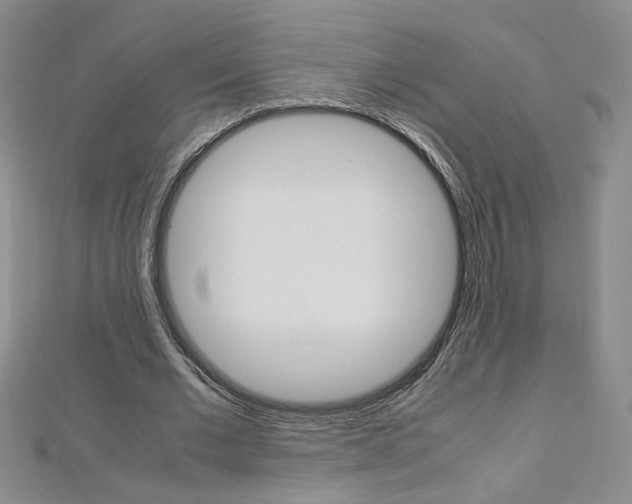 X0000113030677200908271055