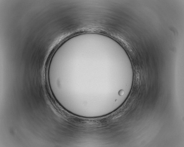 X0000113030678200908271055