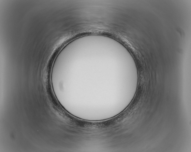 X0000113030679200908271055