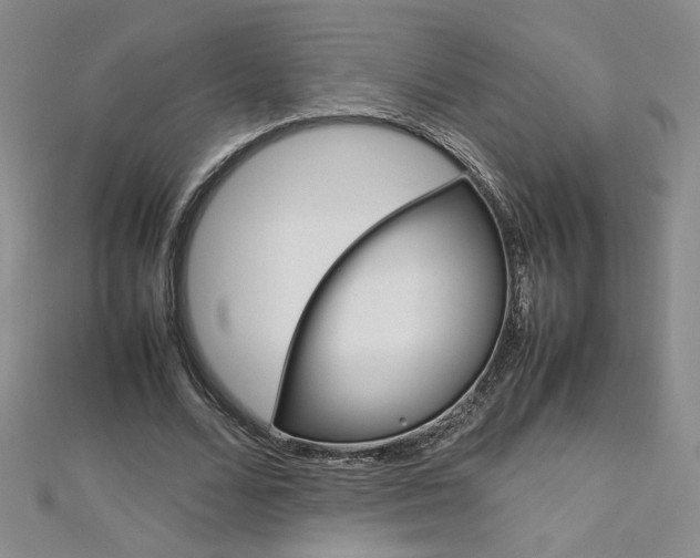 X0000113030680200908271055