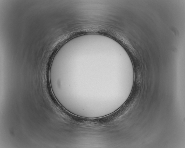 X0000113030681200908271055