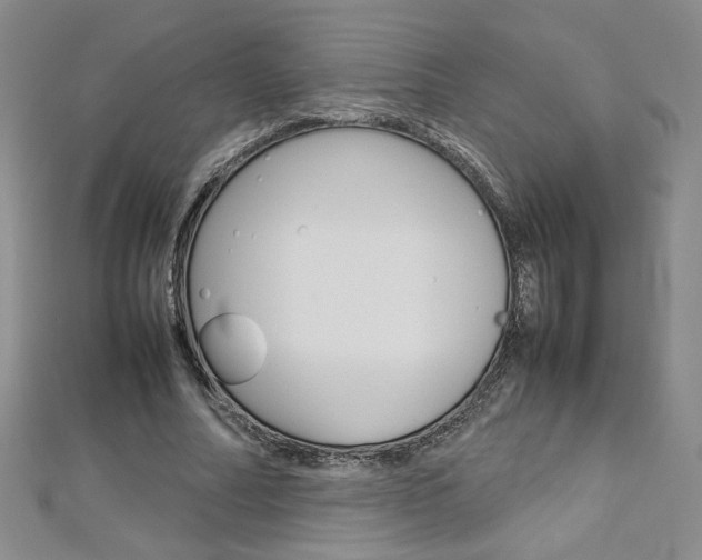 X0000113030682200908271055