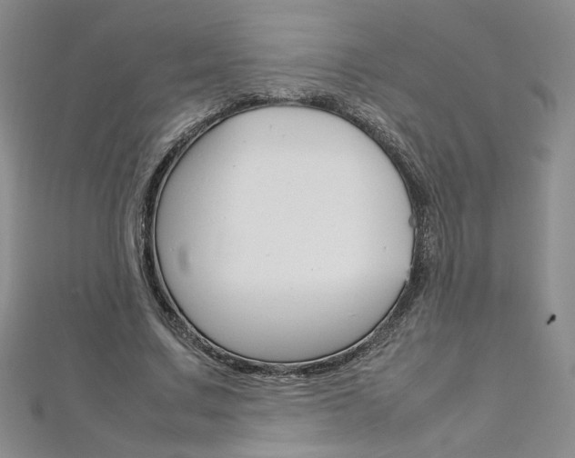 X0000113030683200908271055