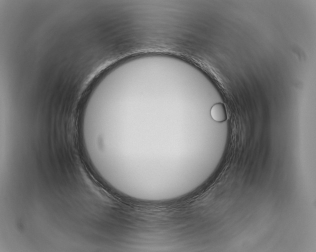 X0000113030684200908271055