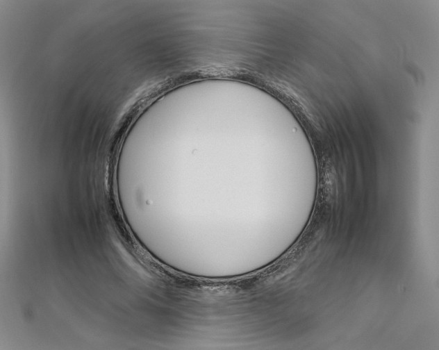 X0000113030686200908271055