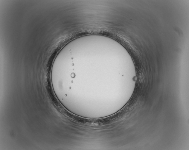 X0000113030687200908271055
