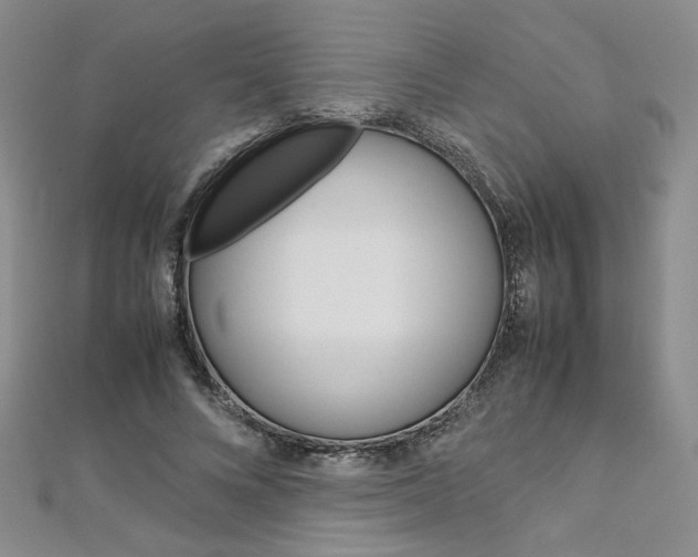 X0000113030688200908271055
