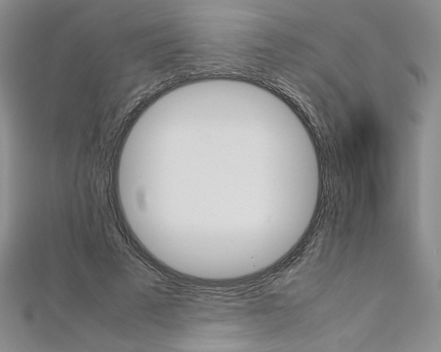 X0000113030689200908271055