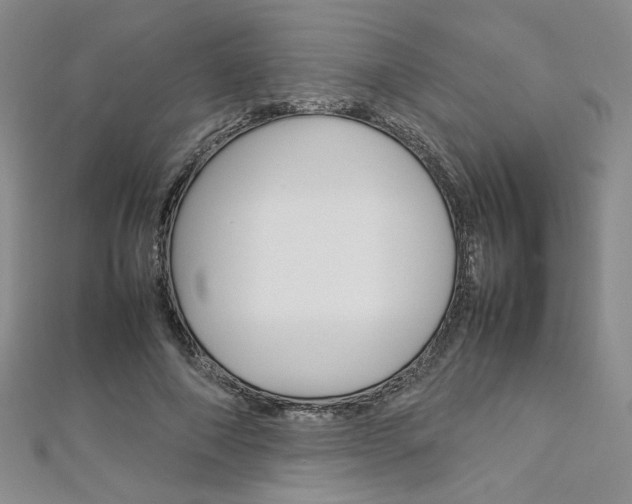 X0000113030690200908271055