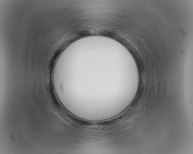 X0000113030691200908271055