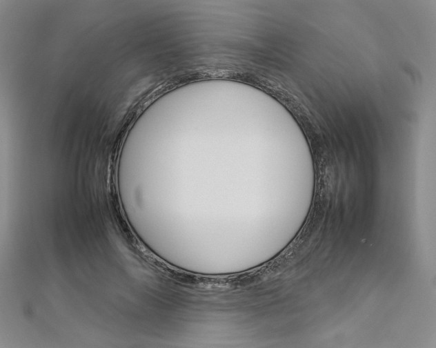 X0000113030694200908271055