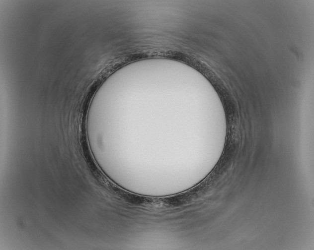 X0000113030695200908271055