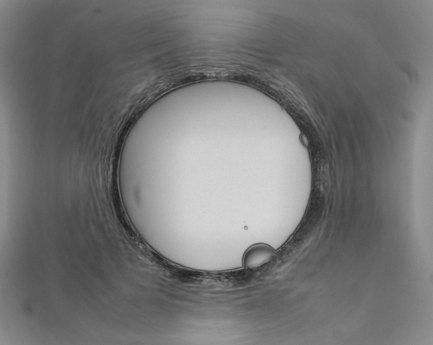 X0000113030697200908271055