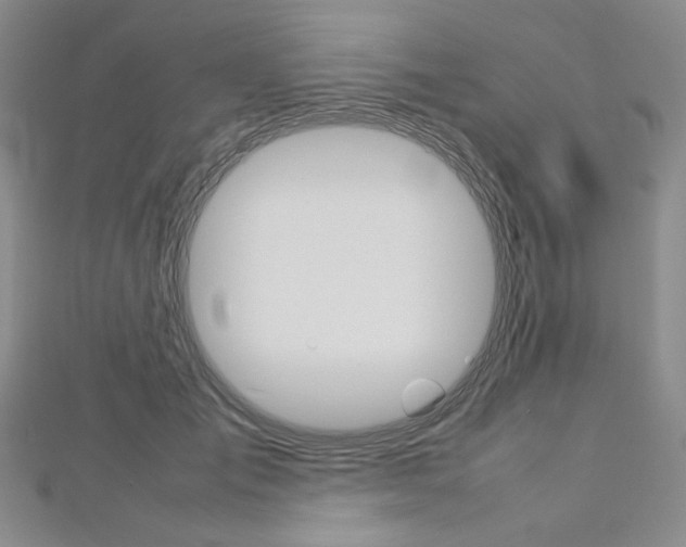 X0000113030701200908271055